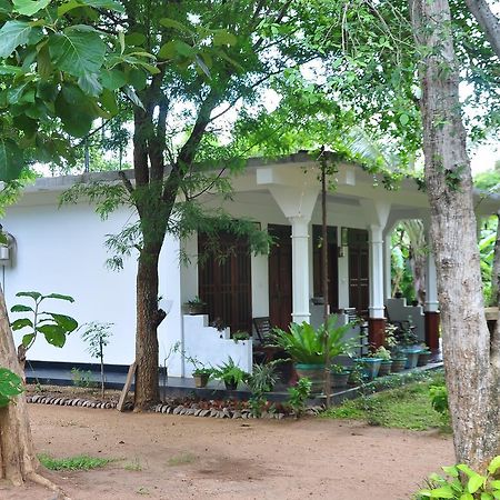 Sigiriya Flower Guest Exterior foto